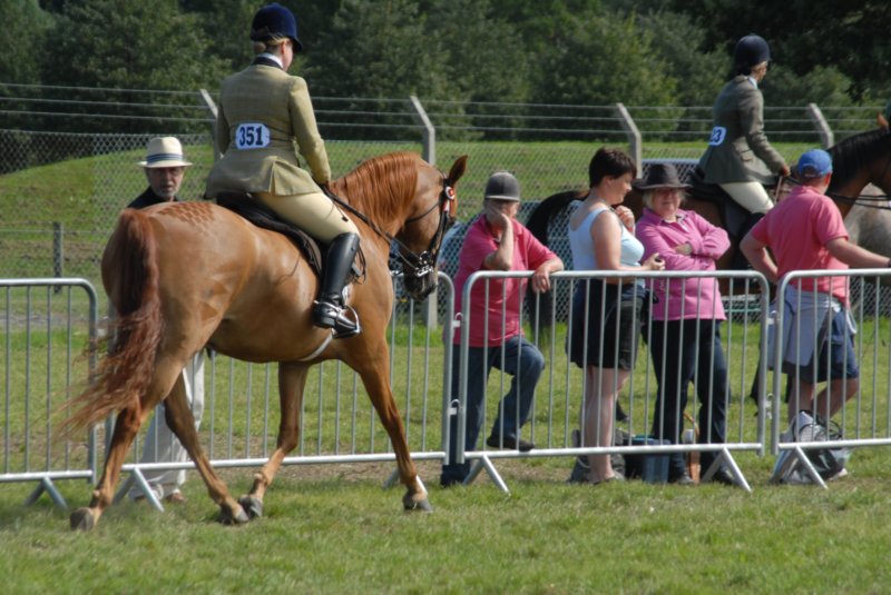 DSC_0039 dsc_0039.jpg