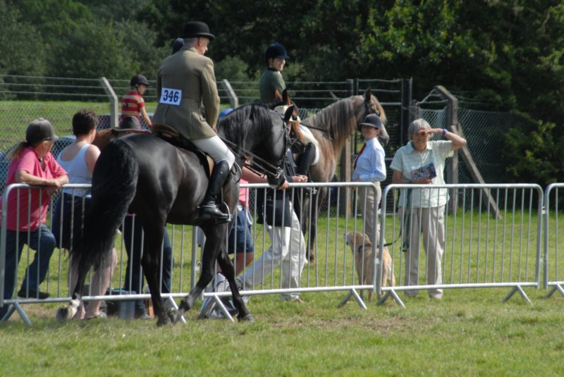 DSC_0041 dsc_0041.jpg