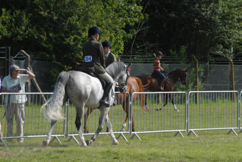 DSC_0043 dsc_0043.jpg