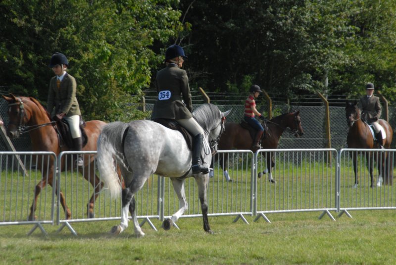DSC_0045 dsc_0045.jpg
