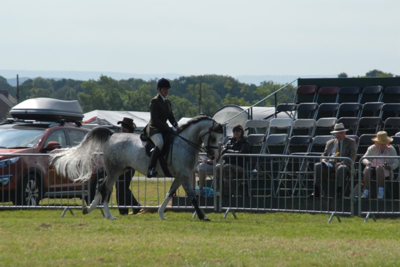 DSC_0050 dsc_0050.jpg