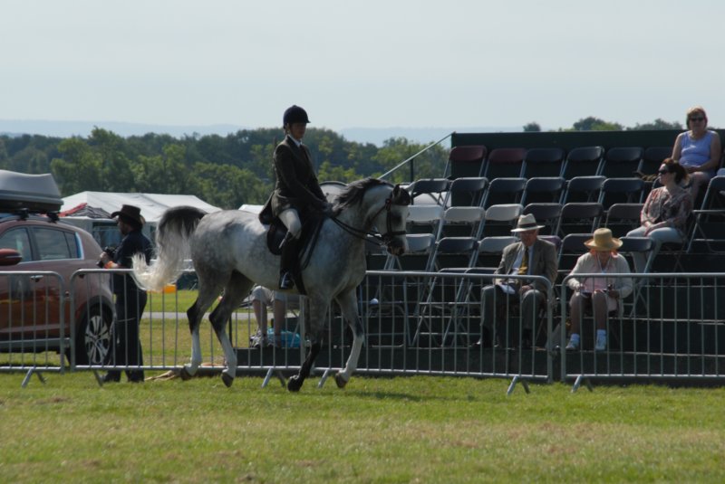 DSC_0051 dsc_0051.jpg