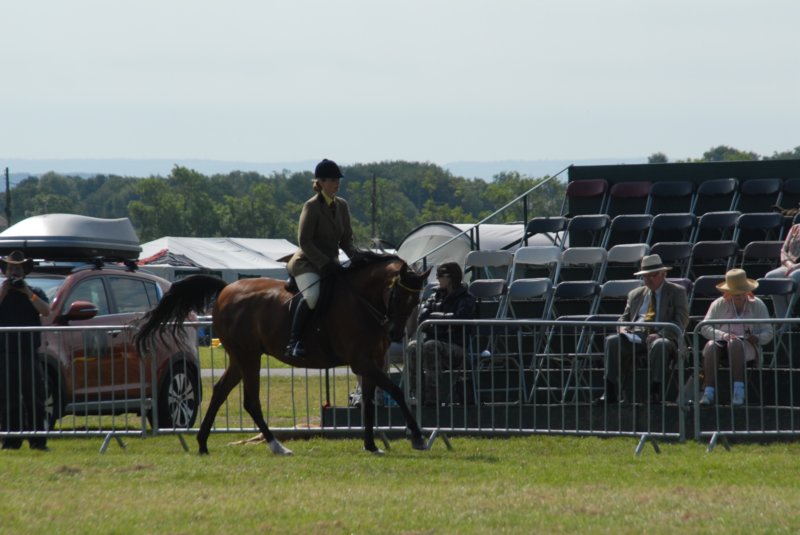 DSC_0052 dsc_0052.jpg