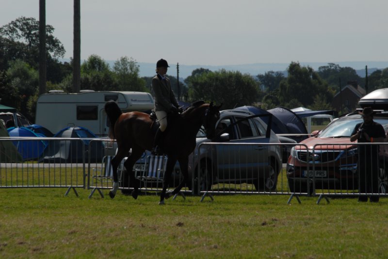 DSC_0054 dsc_0054.jpg