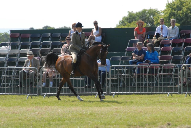 DSC_0055 dsc_0055.jpg