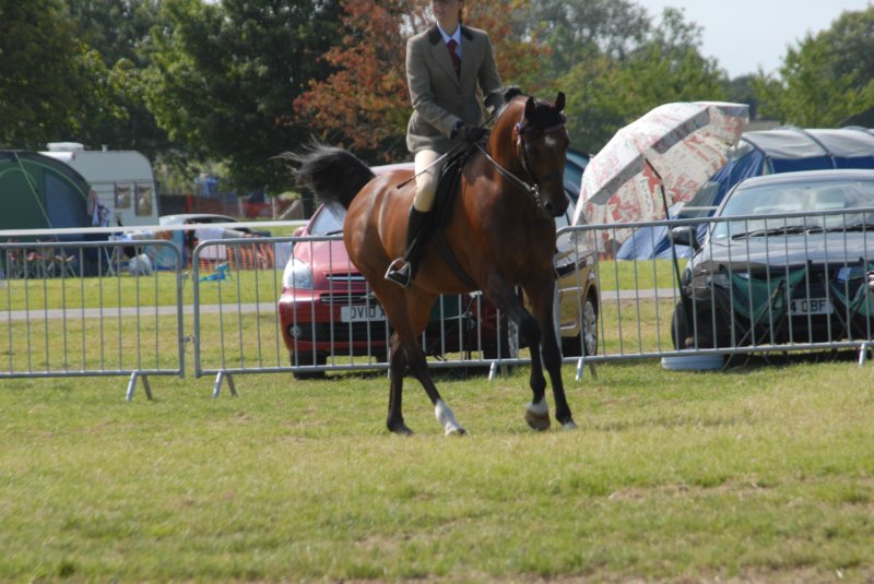 DSC_0057 dsc_0057.jpg