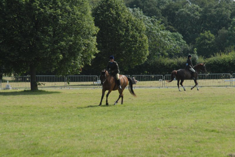 DSC_0060 dsc_0060.jpg