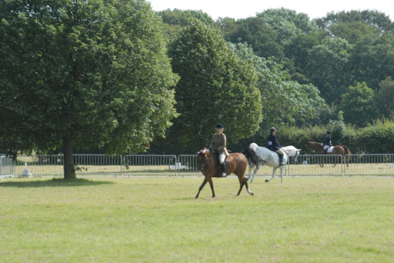 DSC_0061 dsc_0061.jpg