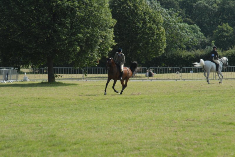 DSC_0063 dsc_0063.jpg