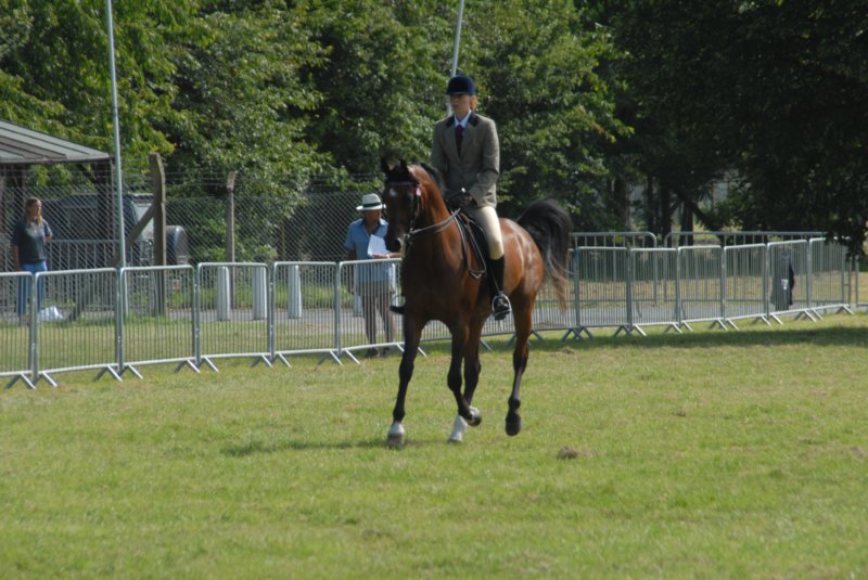 DSC_0064 dsc_0064.jpg