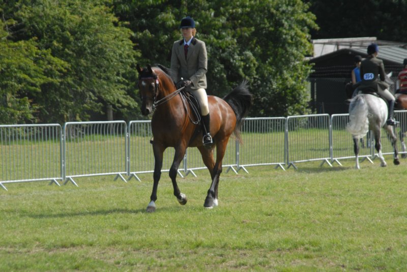 DSC_0065 dsc_0065.jpg
