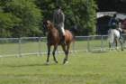 dsc_0065_small.jpg