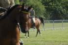 dsc_0066_small.jpg
