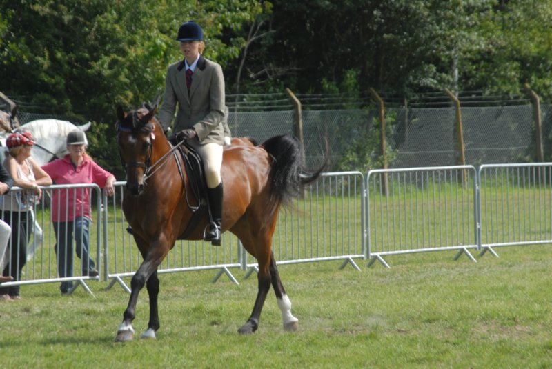 DSC_0068 dsc_0068.jpg