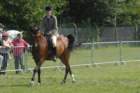 dsc_0068_small.jpg