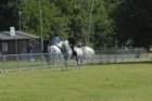 dsc_0069_small.jpg