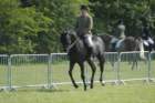 dsc_0070_small.jpg