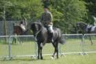 dsc_0071_small.jpg