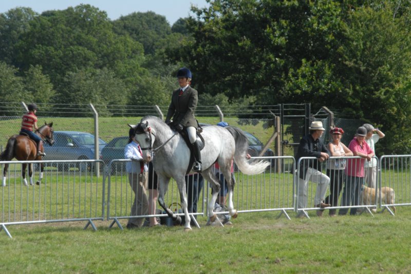 DSC_0074 dsc_0074.jpg
