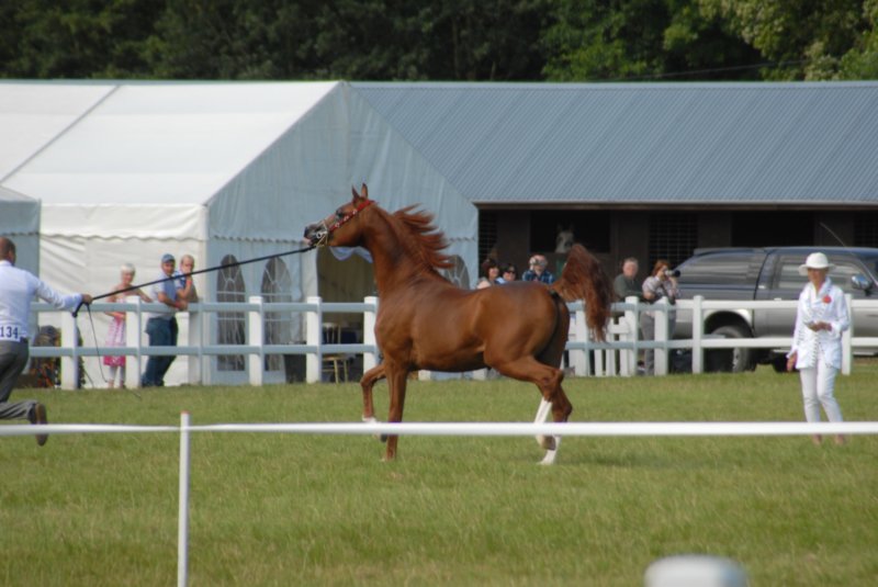DSC_0084 dsc_0084.jpg
