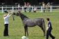 2012-07-26-27_ntl_show_malvern_index.jpg