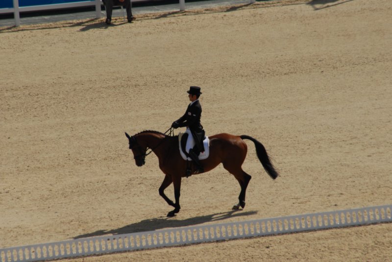 DSC_0105 dsc_0105.jpg