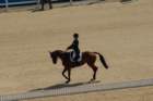 dsc_0105_small.jpg