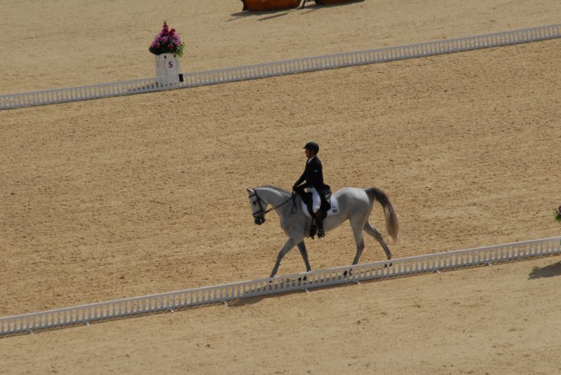 DSC_0107 dsc_0107.jpg