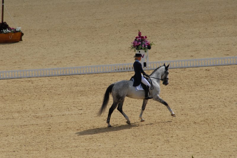 DSC_0122 dsc_0122.jpg