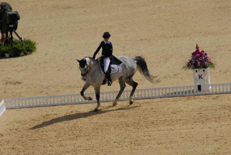 DSC_0124 dsc_0124.jpg