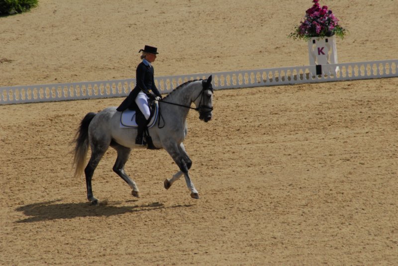 DSC_0125 dsc_0125.jpg