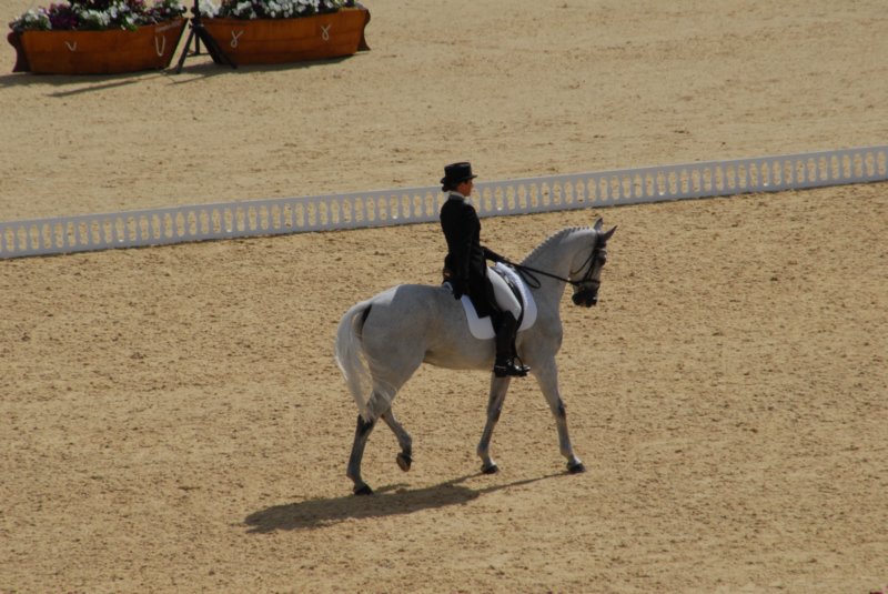 DSC_0128 dsc_0128.jpg