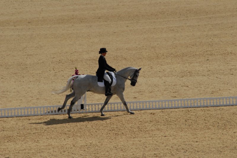 DSC_0129 dsc_0129.jpg