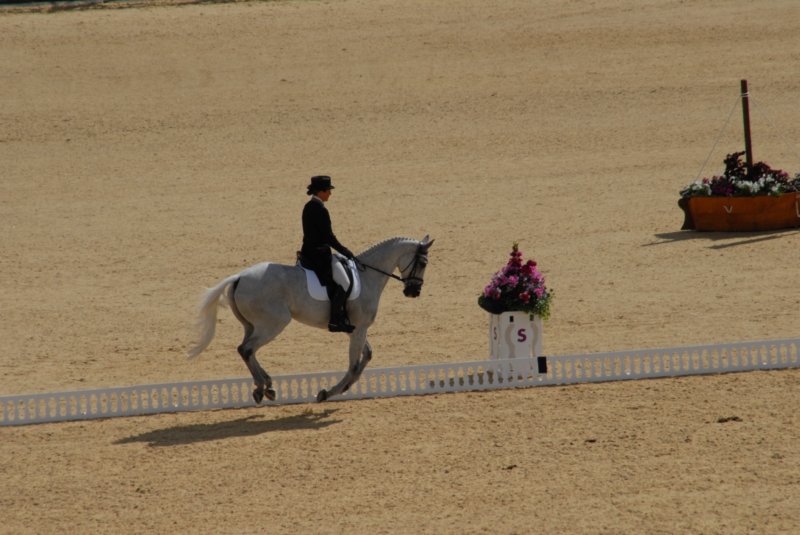 DSC_0130 dsc_0130.jpg