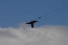 dsc_0138_small.jpg
