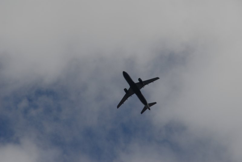 DSC_0141 dsc_0141.jpg