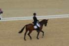dsc_0275_small.jpg