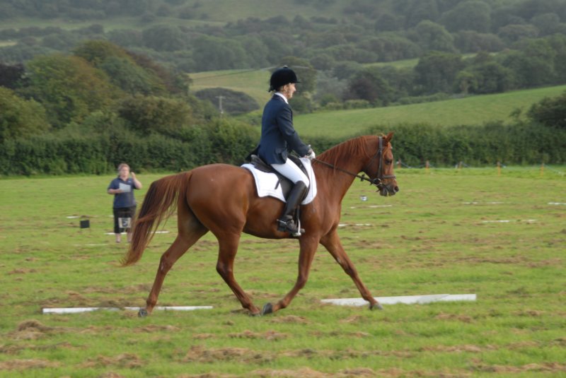 DSC_0328 dsc_0328.jpg