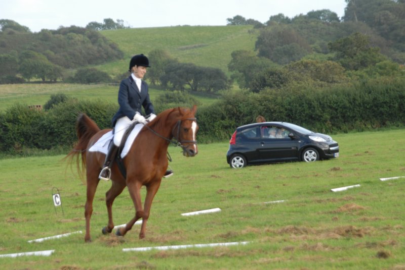 DSC_0333 dsc_0333.jpg