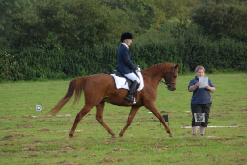 DSC_0343 dsc_0343.jpg