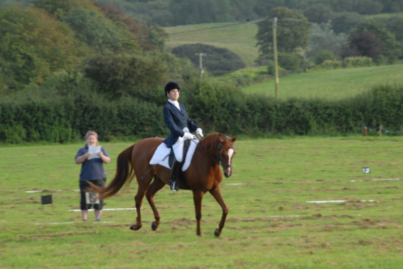 DSC_0346 dsc_0346.jpg