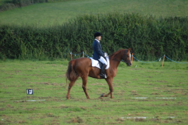DSC_0354 dsc_0354.jpg