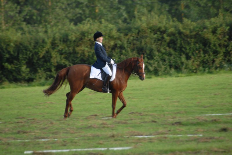 DSC_0360 dsc_0360.jpg