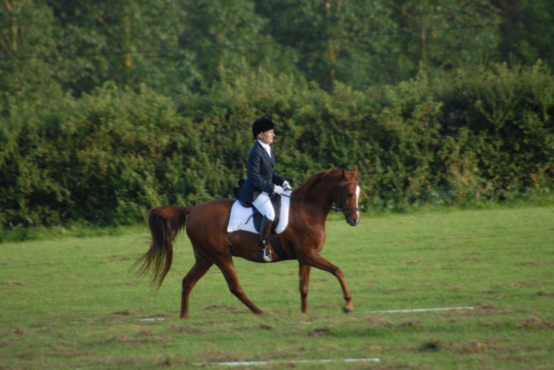 DSC_0361 dsc_0361.jpg