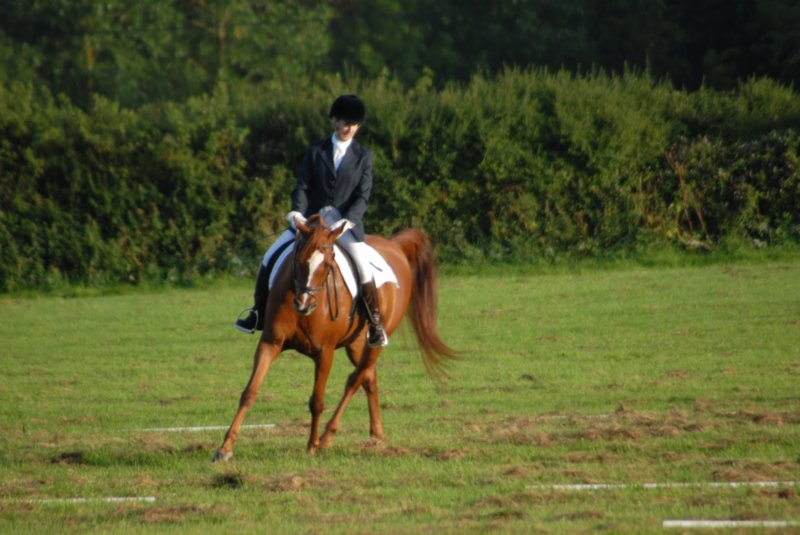 DSC_0376 dsc_0376.jpg