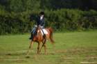 dsc_0376_small.jpg