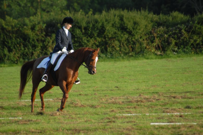 DSC_0377 dsc_0377.jpg