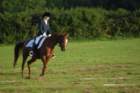 dsc_0377_small.jpg