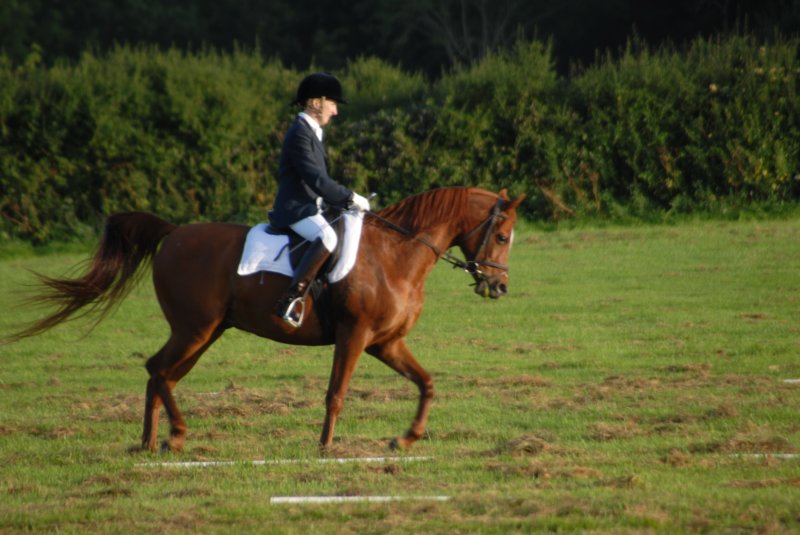 DSC_0378 dsc_0378.jpg