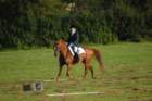 dsc_0380_small.jpg